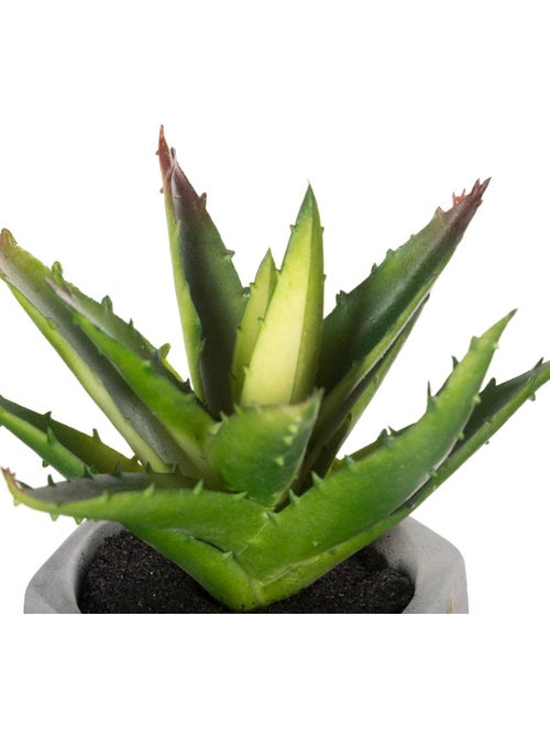 Plante grasse artificielle MASAO - Kiabi
