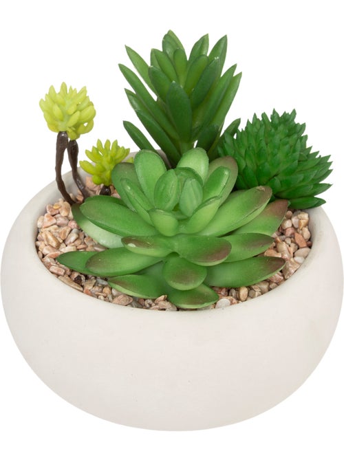 Plante grasse artificielle MIKI - Kiabi Plante grasse artificielle MIKI - Kiabi