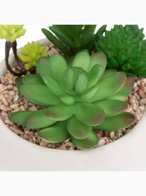 Plante grasse artificielle MIKI - Kiabi Plante grasse artificielle MIKI - Kiabi