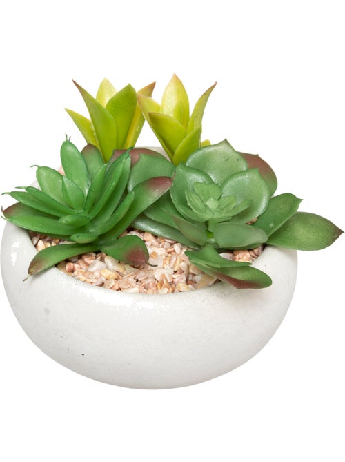 Plante grasse artificielle MIKI - Kiabi Plante grasse artificielle MIKI - Kiabi