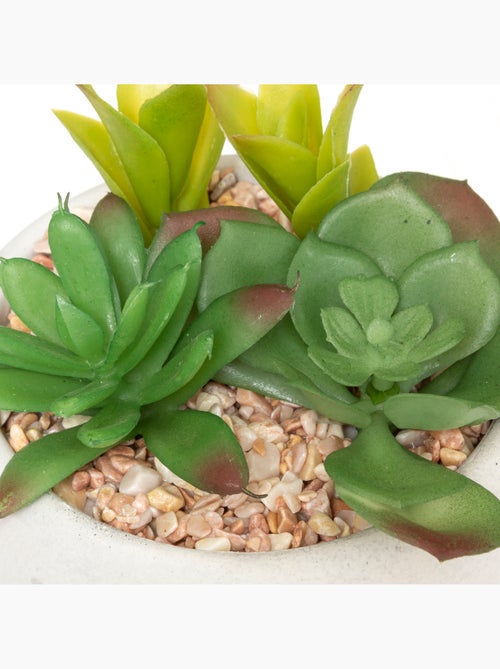 Plante grasse artificielle MIKI - Kiabi Plante grasse artificielle MIKI - Kiabi