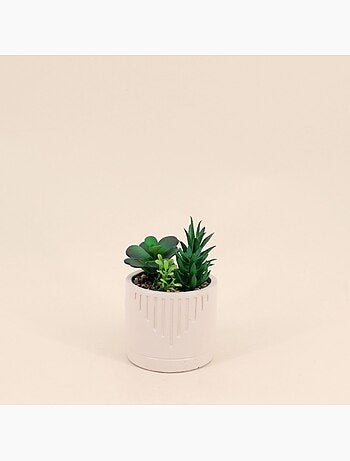 Plante grasse artificielle pot beige