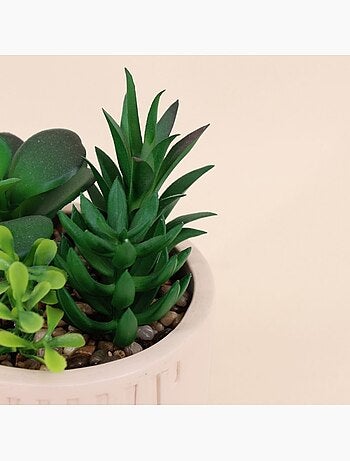 Plante grasse artificielle pot beige