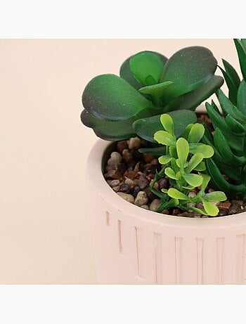 Plante grasse artificielle pot beige
