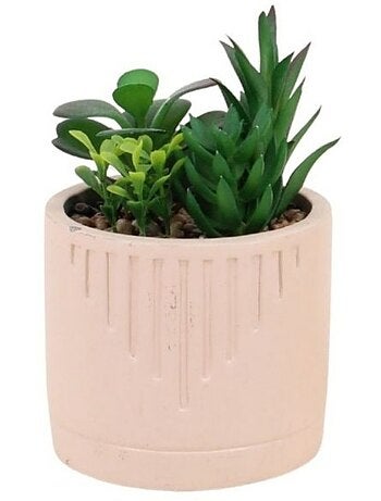 Plante grasse artificielle pot beige