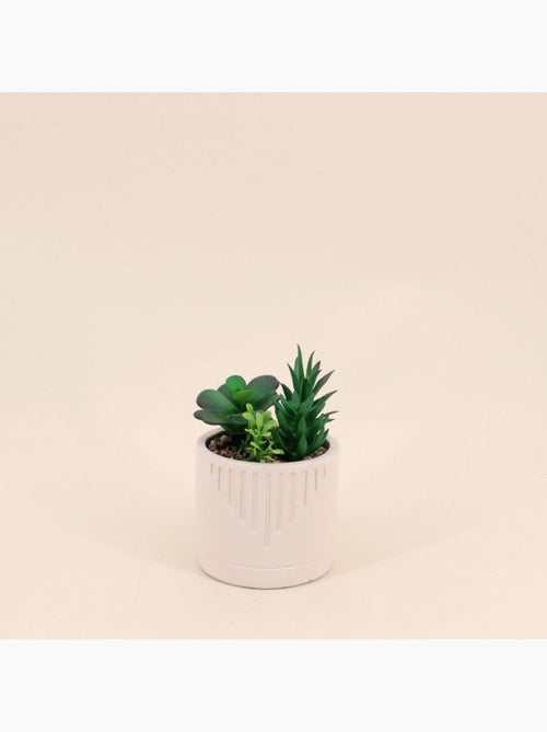 Plante grasse artificielle pot beige - Kiabi