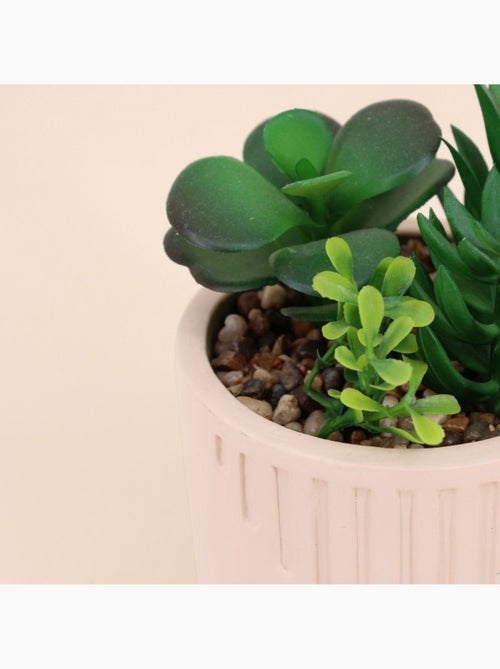 Plante grasse artificielle pot beige - Kiabi
