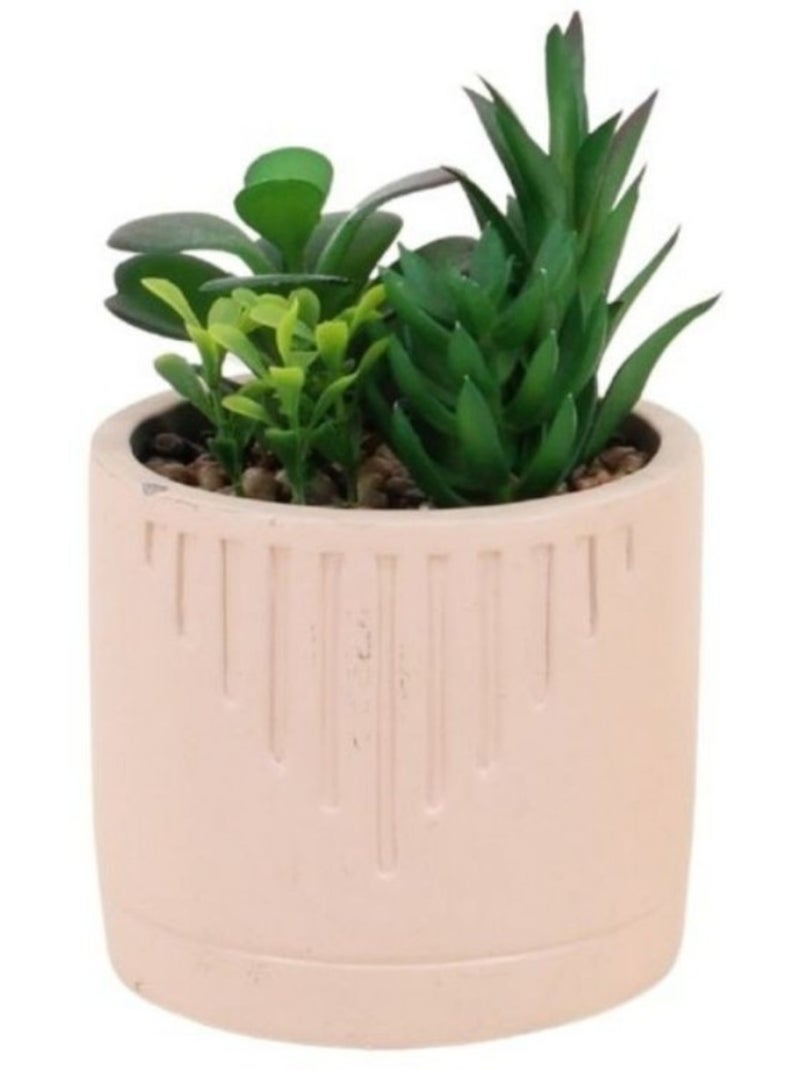 Plante grasse artificielle pot beige Beige - Kiabi