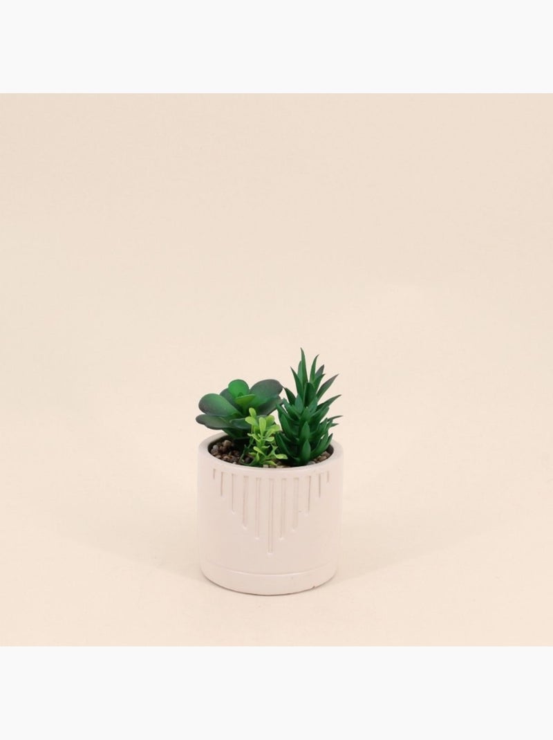 Plante grasse artificielle pot beige Beige - Kiabi