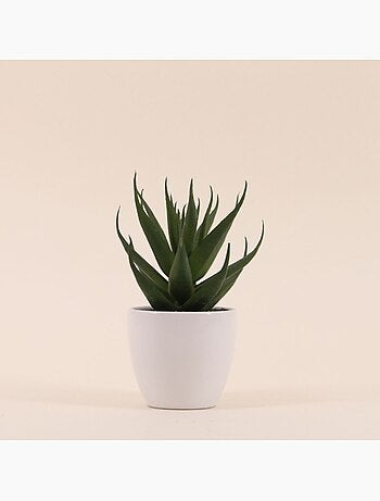 Plante grasse artificielle pot céramique 15cm