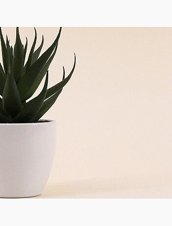 Plante grasse artificielle pot céramique 15cm