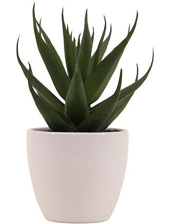 Plante grasse artificielle pot céramique 15cm