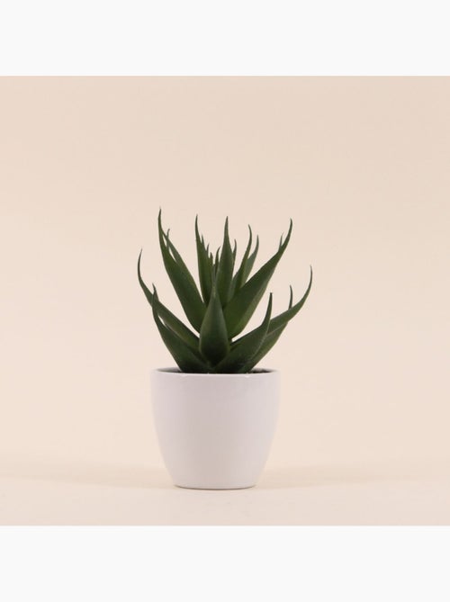 Plante grasse artificielle pot céramique 15cm - Kiabi