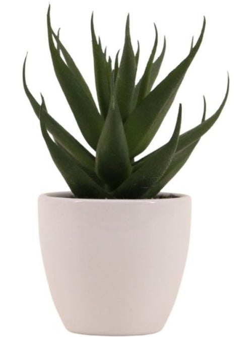 Plante grasse artificielle pot céramique 15cm - Kiabi
