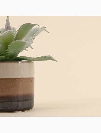 Plante grasse artificielle pot céramique rayé 12cm