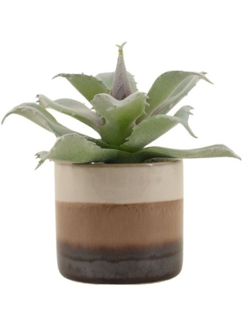 Plante grasse artificielle pot céramique rayé 12cm Marron - Kiabi
