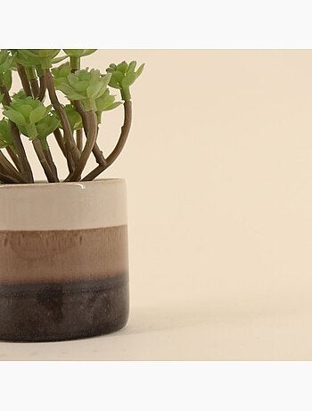 Plante grasse artificielle pot céramique rayé 13cm