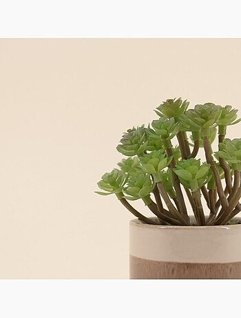 Plante grasse artificielle pot céramique rayé 13cm