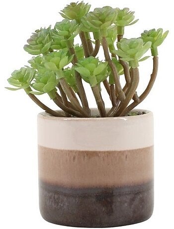 Plante grasse artificielle pot céramique rayé 13cm