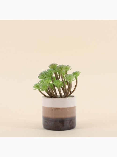 Plante grasse artificielle pot céramique rayé 13cm - Kiabi Plante grasse artificielle pot céramique rayé 13cm - Kiabi