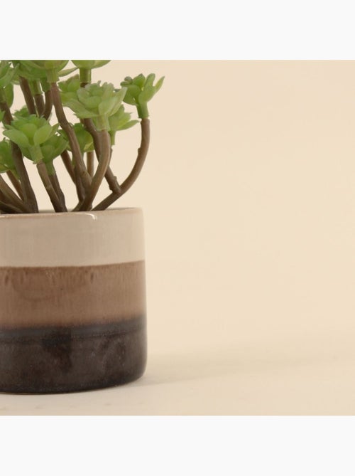 Plante grasse artificielle pot céramique rayé 13cm - Kiabi Plante grasse artificielle pot céramique rayé 13cm - Kiabi