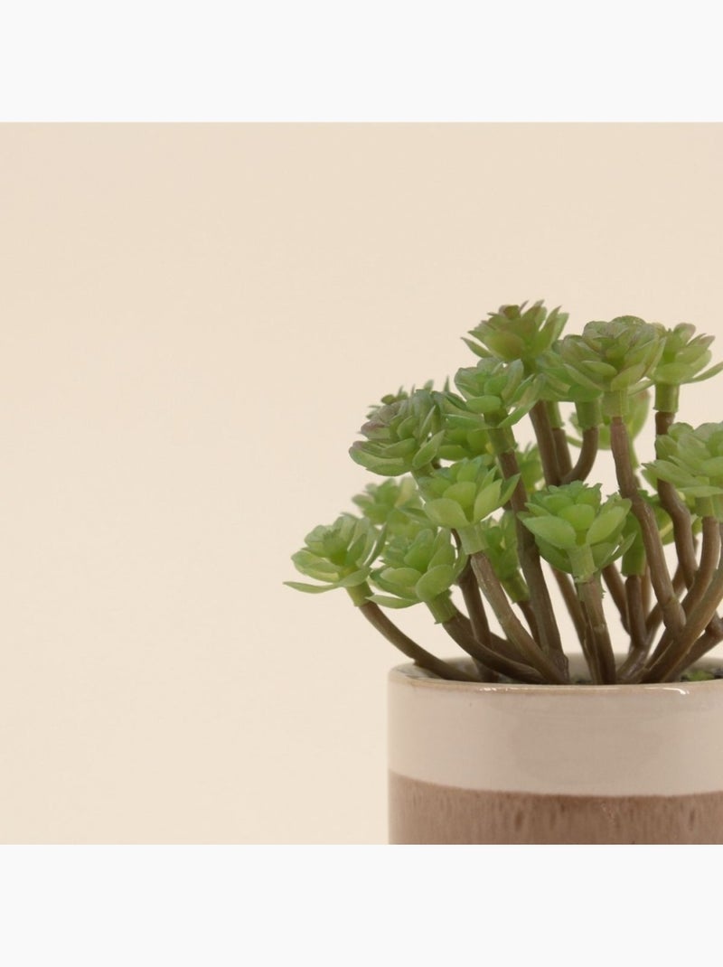 Plante grasse artificielle pot céramique rayé 13cm Marron - Kiabi