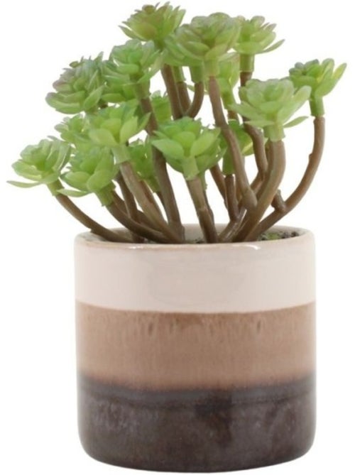 Plante grasse artificielle pot céramique rayé 13cm - Kiabi Plante grasse artificielle pot céramique rayé 13cm - Kiabi