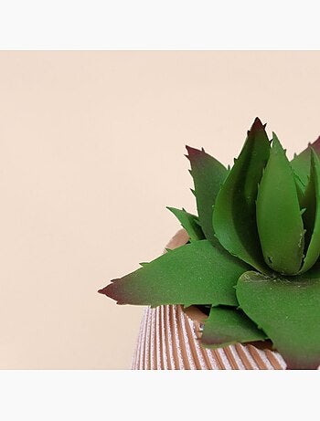 Plante grasse artificielle pot en céramique 13x10cm