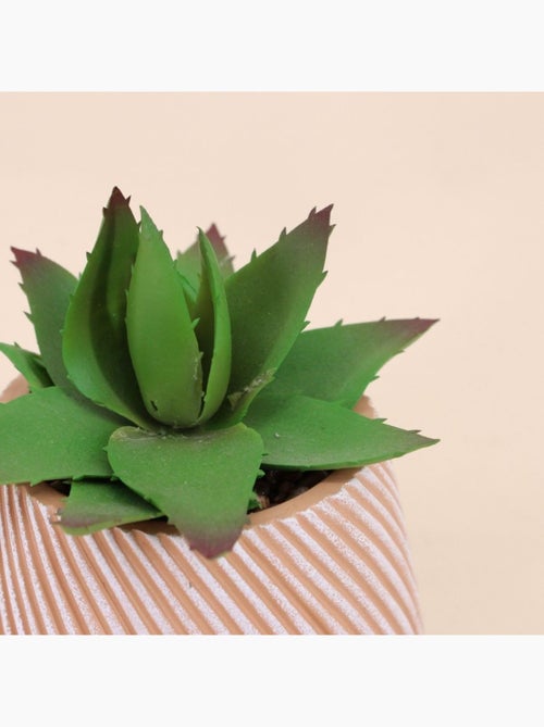 Plante grasse artificielle pot en céramique 13x10cm - Kiabi