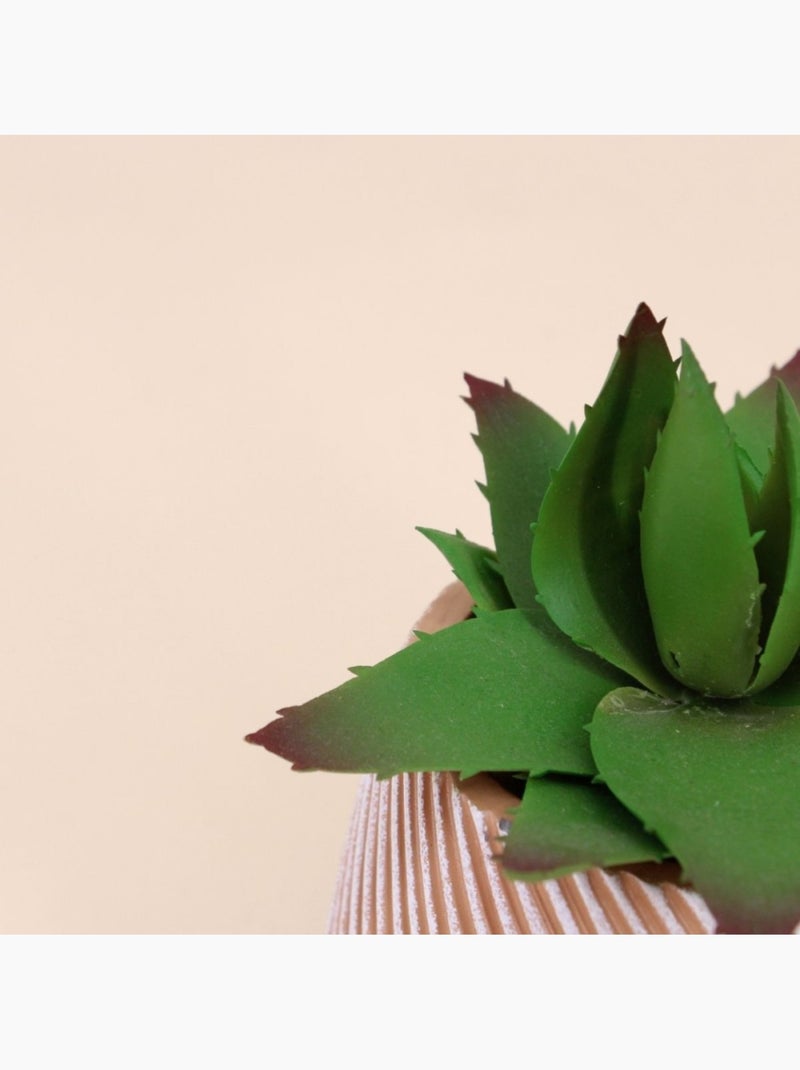 Plante grasse artificielle pot en céramique 13x10cm Gris clair - Kiabi