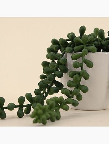 Plante grasse artificielle tombante pot céramique 23cm