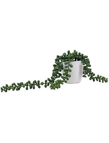 Plante grasse artificielle tombante pot céramique 23cm