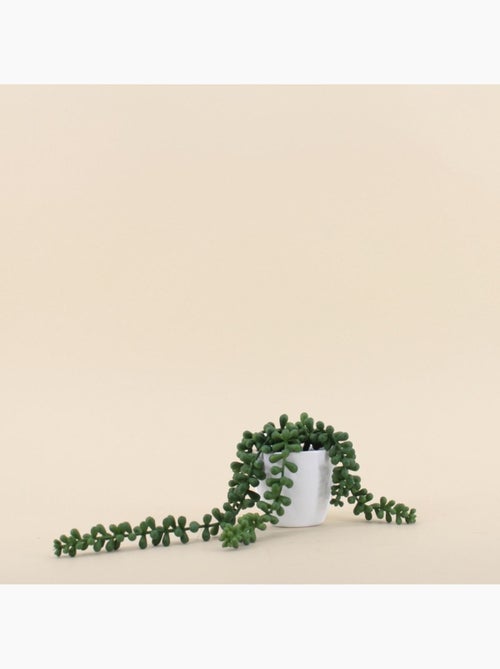 Plante grasse artificielle tombante pot céramique 23cm - Kiabi