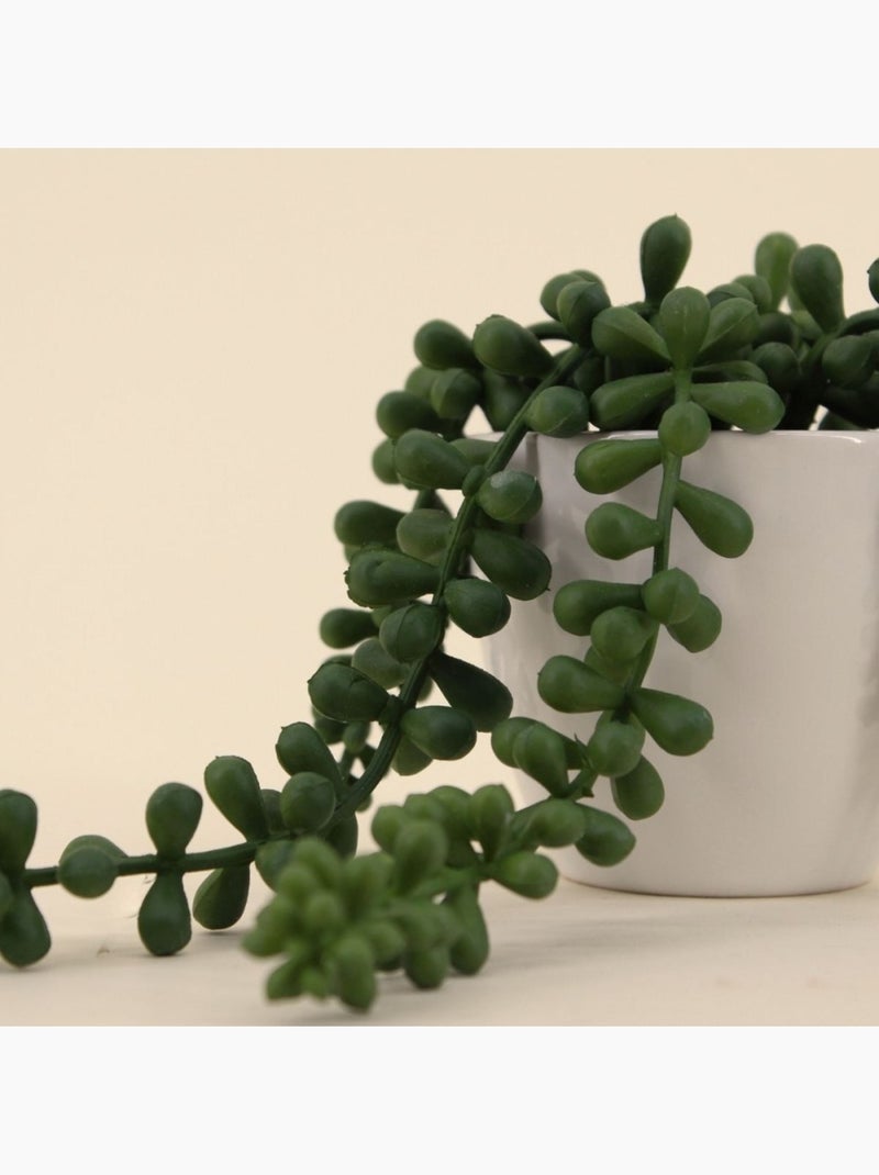 Plante grasse artificielle tombante pot céramique 23cm Blanc - Kiabi