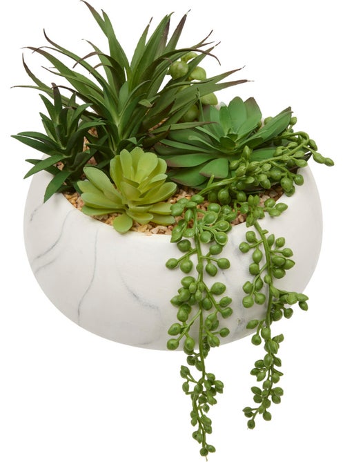 Plante petit format JESY - Kiabi