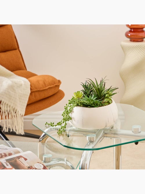 Plante petit format JESY - Kiabi