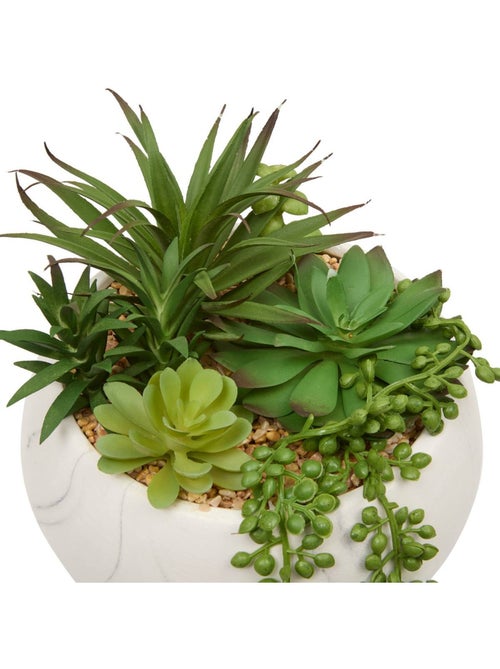 Plante petit format JESY - Kiabi