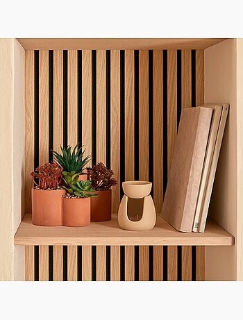 Plante petit format WONJ