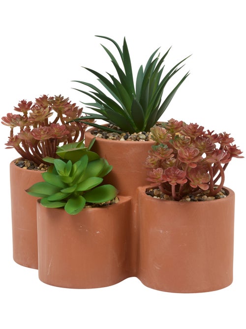 Plante petit format WONJ - Kiabi