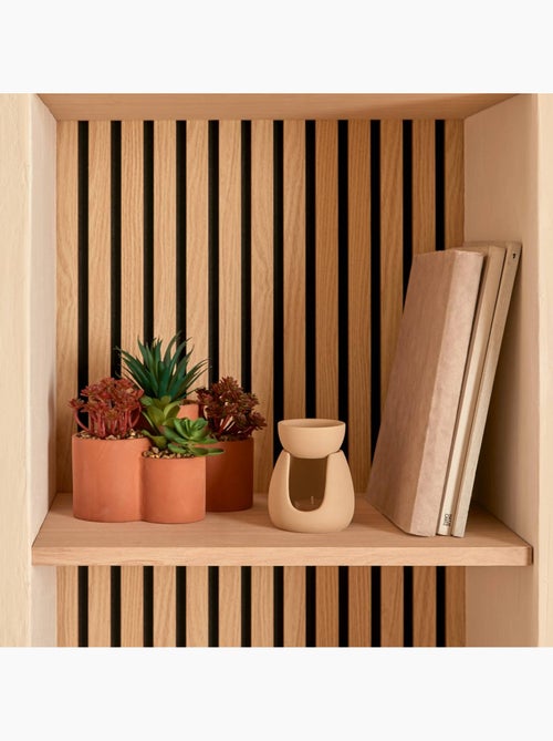 Plante petit format WONJ - Kiabi