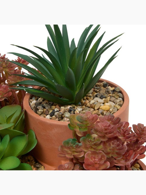 Plante petit format WONJ - Kiabi