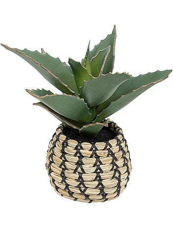 Plante Samouraï articifielle PIO