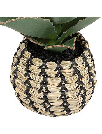 Plante Samouraï articifielle PIO