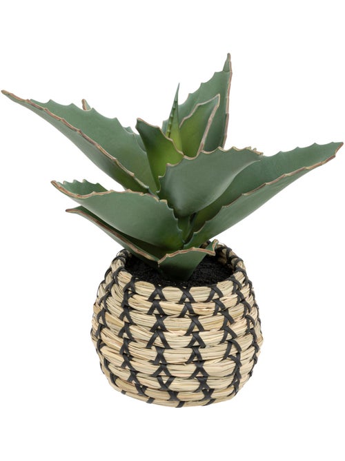 Plante Samouraï articifielle PIO - Kiabi