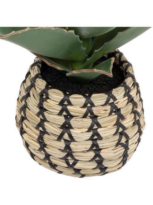 Plante Samouraï articifielle PIO - Kiabi