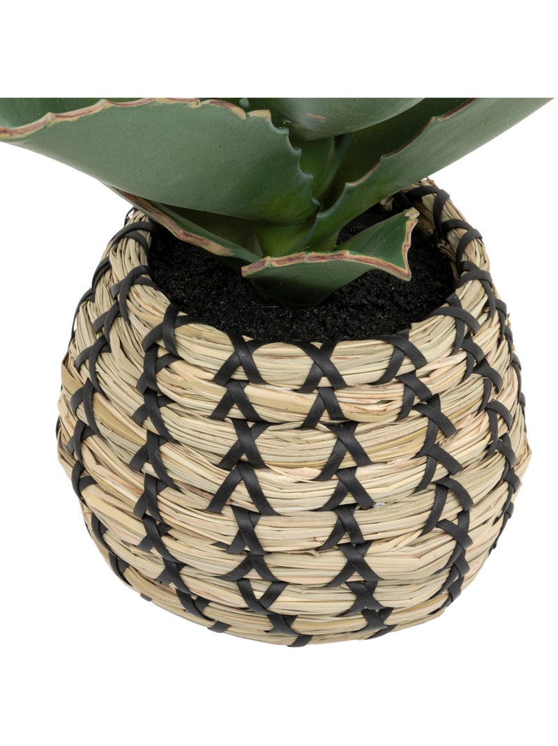 Plante Samouraï articifielle PIO Vert - Kiabi