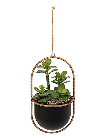 Plante suspendue avec pot en métal