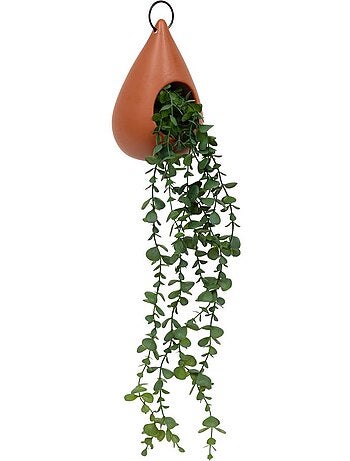 Plante suspendue goutte BE VINTAGE
