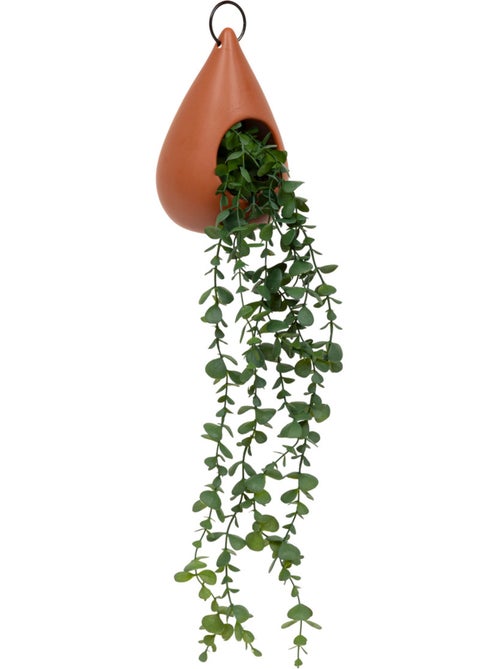 Plante suspendue goutte BE VINTAGE - Kiabi