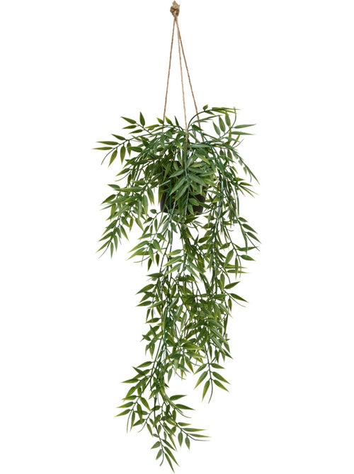 Plante suspendue LIORA - Kiabi